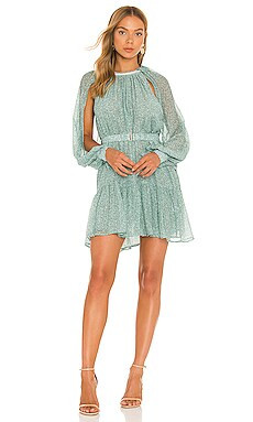 Harriet Dress
                    
                    Sabina Musayev | Revolve Clothing (Global)