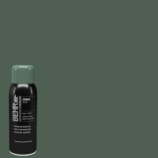 12 oz. #PPU11-20 Congo Gloss Interior/Exterior Spray Paint and Primer Aerosol | The Home Depot