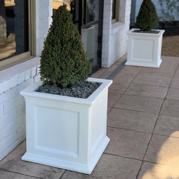 Anastasiya Planter Box | Wayfair North America