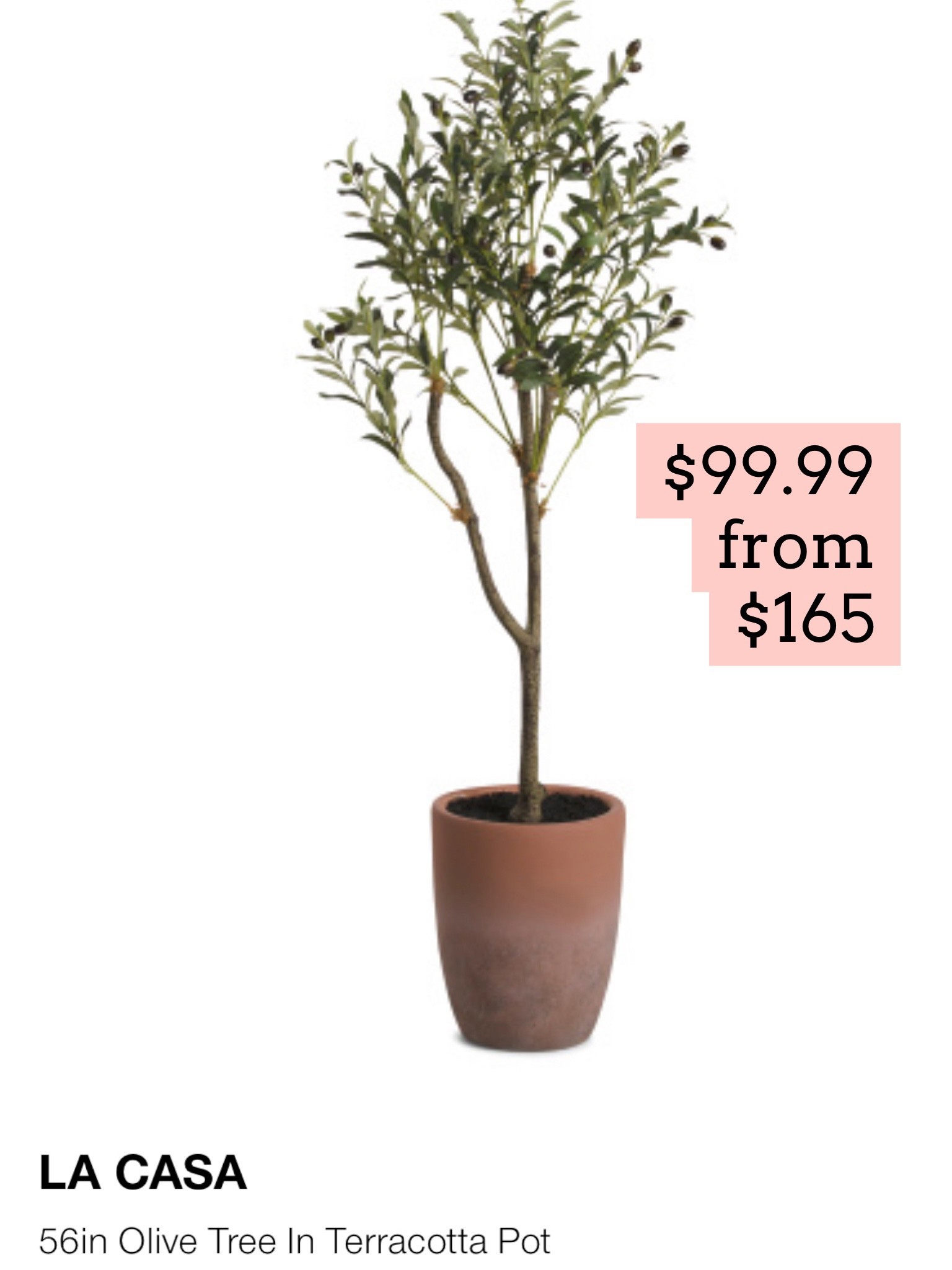 Faux olive tree 

#LTKhome #LTKsalealert #LTKSeasonal