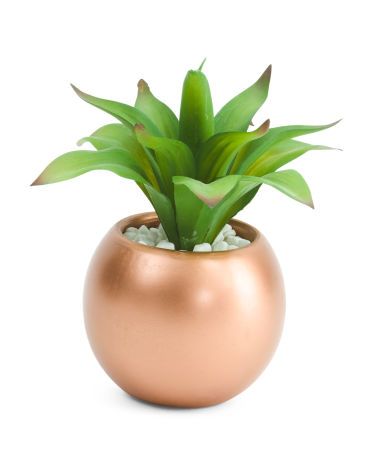 8.5in Faux Succulent In Pot | TJ Maxx