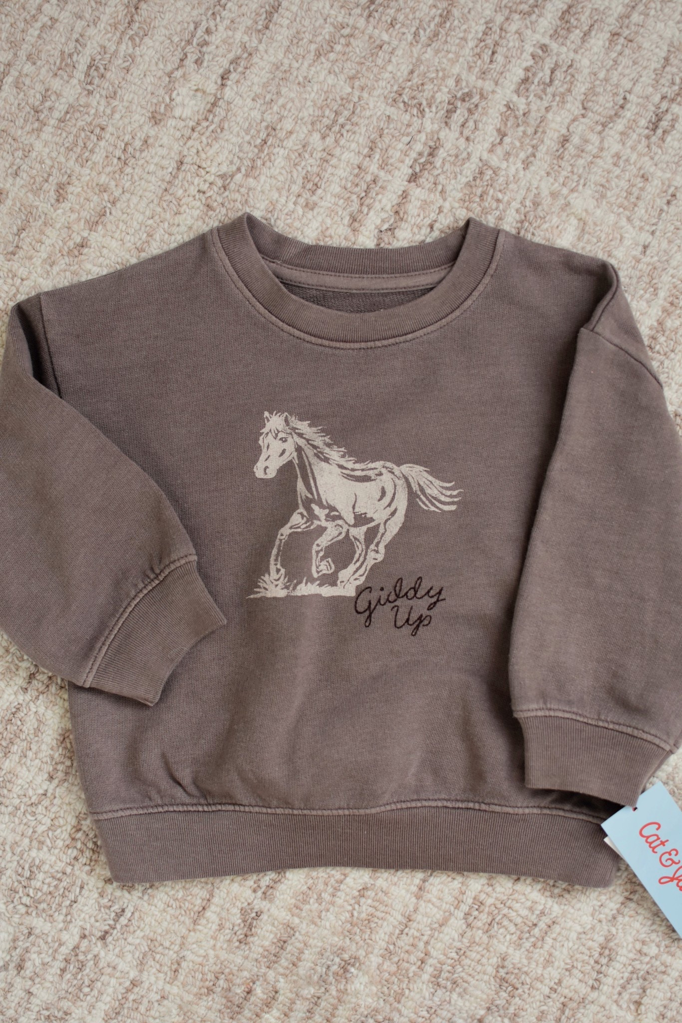 This sweatshirt is in the toddler boys section, but I definitely think it’s gender neutral! It’s not too thick — perfect for early fall. Runs a little oversized!

#LTKSeasonal #LTKKids #LTKBaby