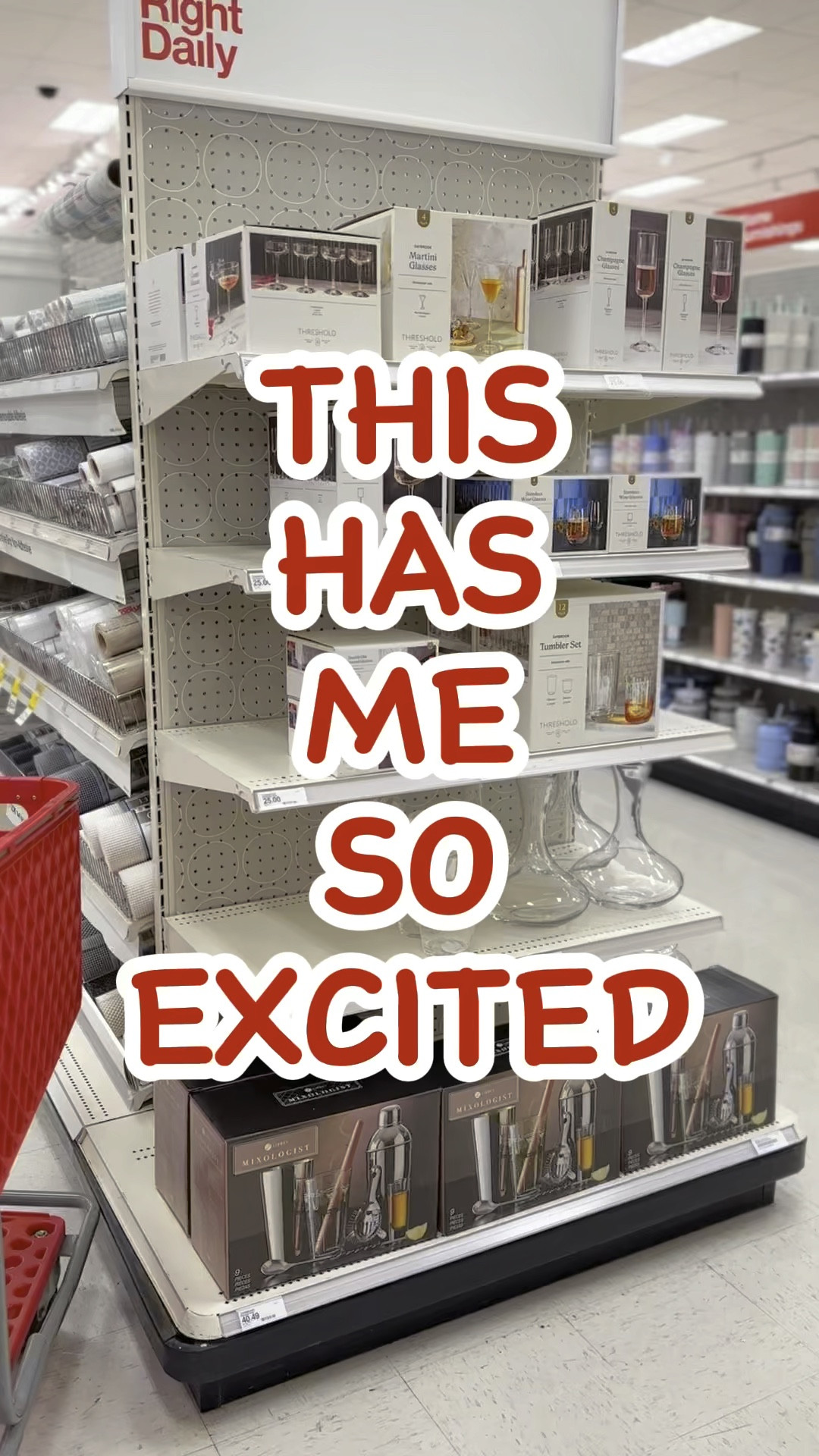 Holiday stemware at Target! 

#LTKhome #LTKSeasonal #LTKGiftGuide