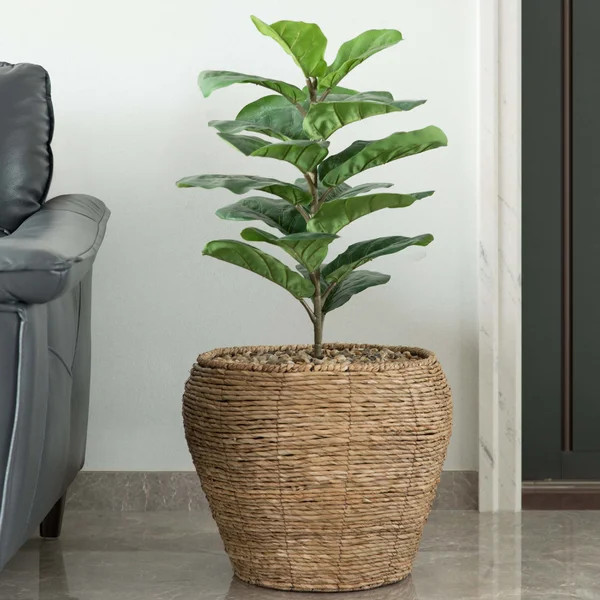 Mckee Wicker Pot Planter | Wayfair North America