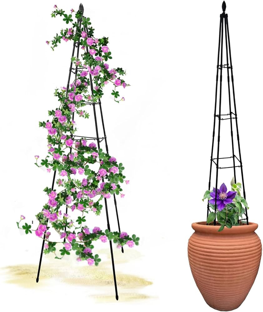2 Pack Garden Obelisk Trellis - Metal Plant Cages and Supports for Climbing Plants Outdoor and In... | Amazon (US)