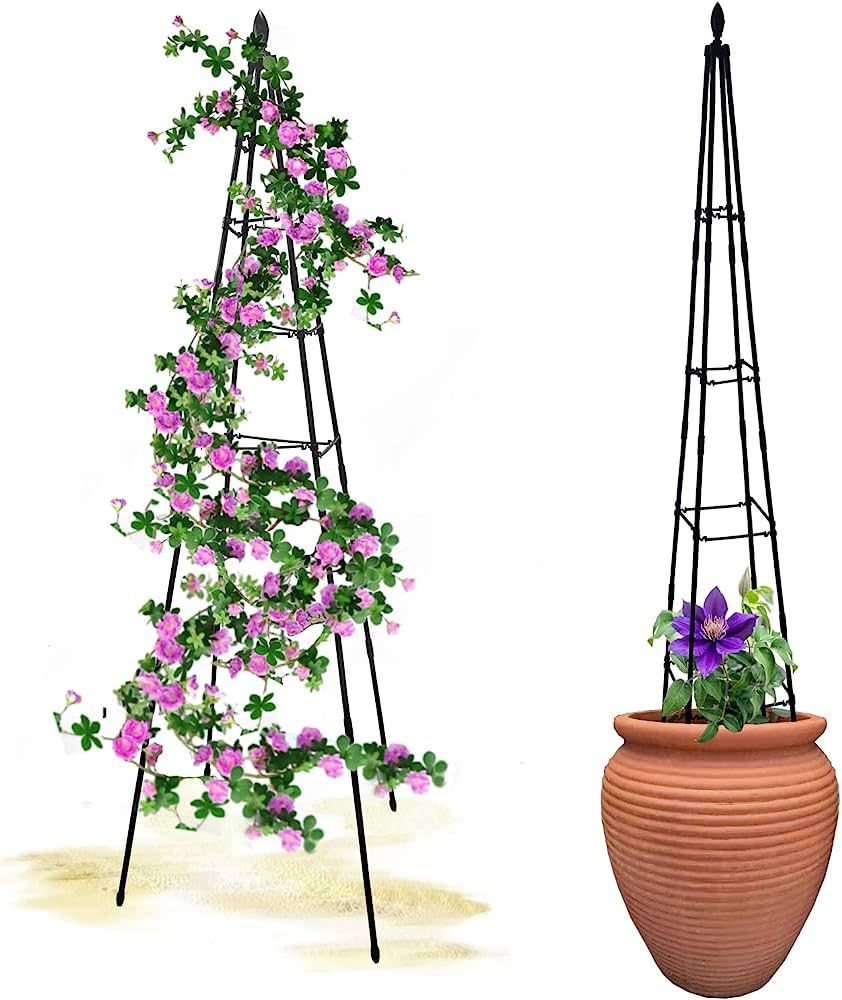 2 Pack Garden Obelisk Trellis - Metal Plant Cages and Supports for Climbing Plants Outdoor and In... | Amazon (US)