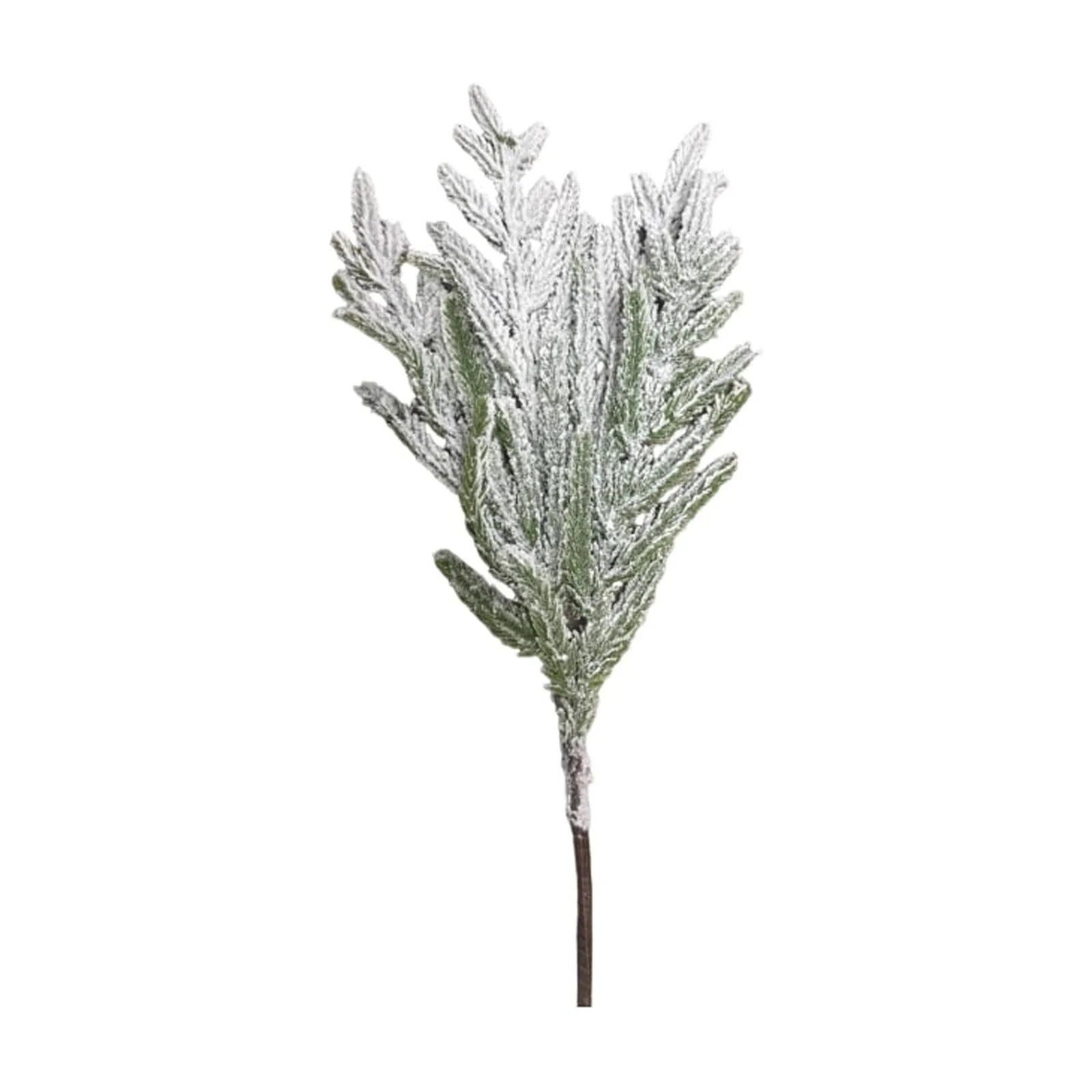 Christmas Snowy Norfolk Pine Branches 18 Inch – 1 or 12 Pieces Snow Flocked Stems, 3-4 Bunches ... | Walmart (US)