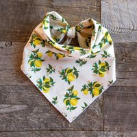 Citrus Blossom Lemons Dog Bandana | Etsy (US)