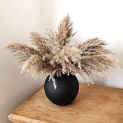 HUMINBO Pampas-Grass Pompous Dried Pampass Plants Fluffy Pompas Grasses 30 Stems Small Pompus Sho... | Amazon (US)