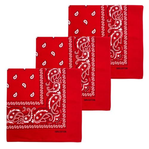 MDSTYLE 100% Cotton Bandana for Men & Women 22" x 22" Paisley Pattern Handkerchief Headband Scarf | Amazon (US)