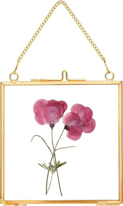Glass Pressed Flower Frames,Vintage Hanging Picture Frames with Chain,Handmade Brass Floating Pic... | Amazon (CA)