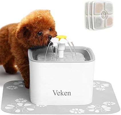 Veken Pet Fountain, 84oz/2.5L Automatic Cat Water Fountain Dog Water Dispenser with 3 Replacement... | Amazon (US)
