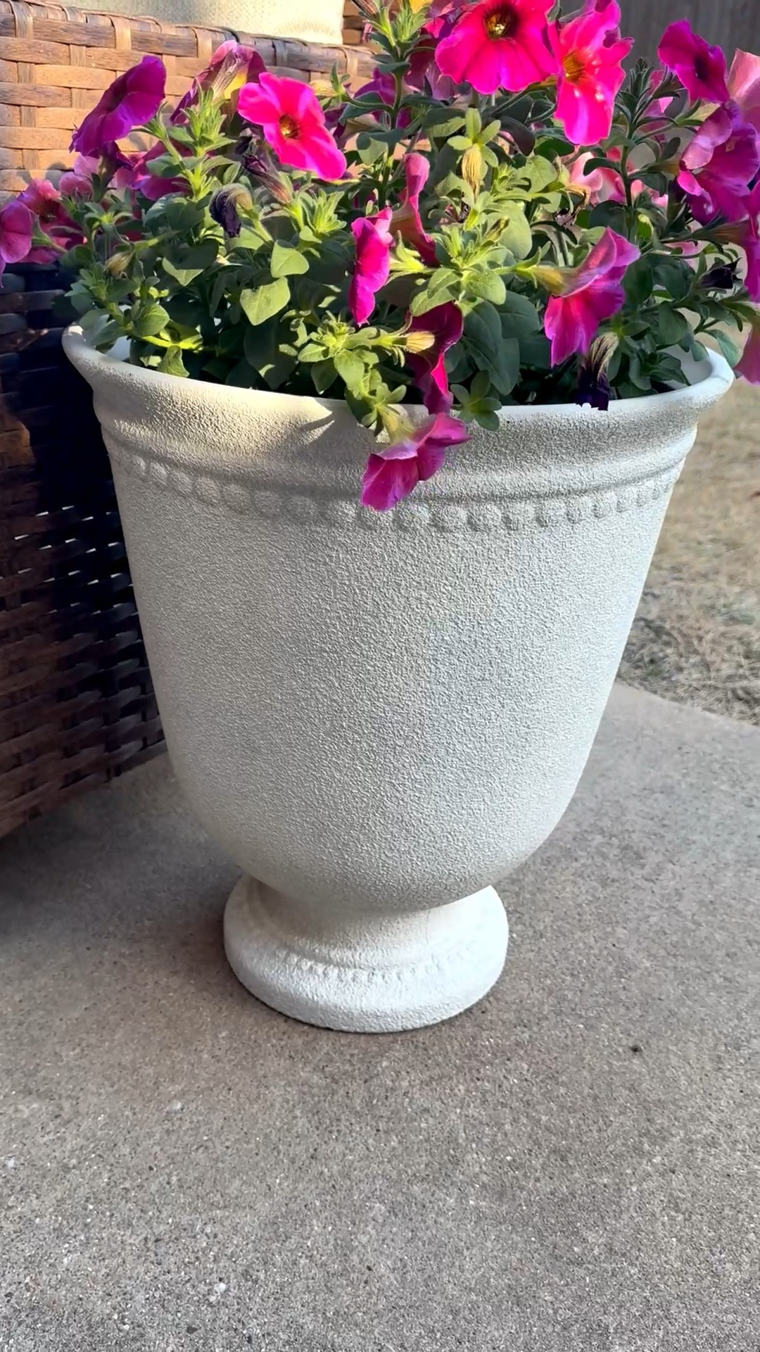 Walmart planter that is SO good! 😍 Only $25!

#LTKHome #LTKSpringSale #LTKSeasonal