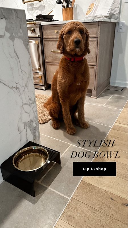 This dog bowl is actually chic and matches the kitchen. #dogs #homedecor #kitchen 

#LTKhome #LTKunder100