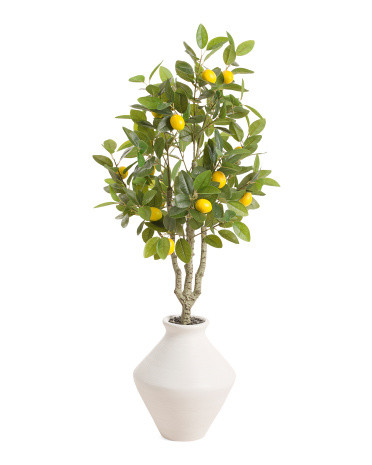48in Lemon Tree In Magnesium Oxide Pot | Mother's Day Gifts | Marshalls | Marshalls