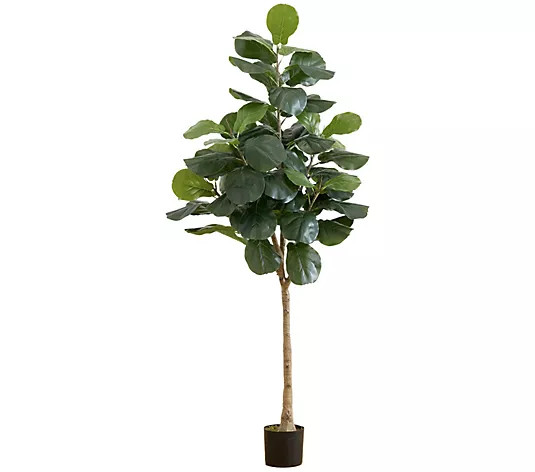 Make Your Selection: Nearly Natural 6' Fiddle Leaf Tree | QVC