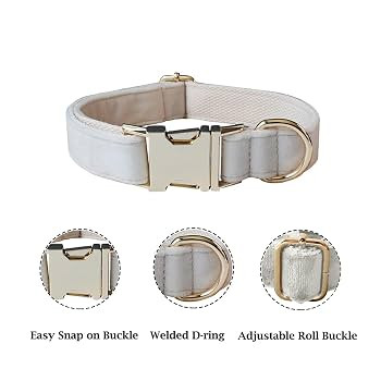 JAY D.L Dog Collar and Leash Set，Soft & Comfy Velvet Dog Collars with Heavy Duty Metal Buckle a... | Amazon (US)