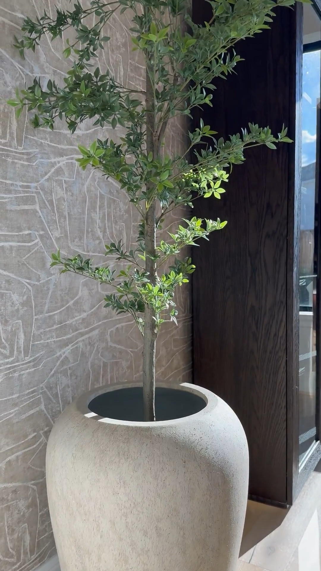 I am absolutely loving this planter from Pottery Barn! It's gorgeous, and the best part is that it's so versatile - it works perfectly for both bigger trees and smaller ones too! 🌳 I love it so much that I actually ended up buying another one, haha! 😆 It's definitely a game-changer for decorating any space. 

#LTKHome #LTKStyleTip #LTKSaleAlert