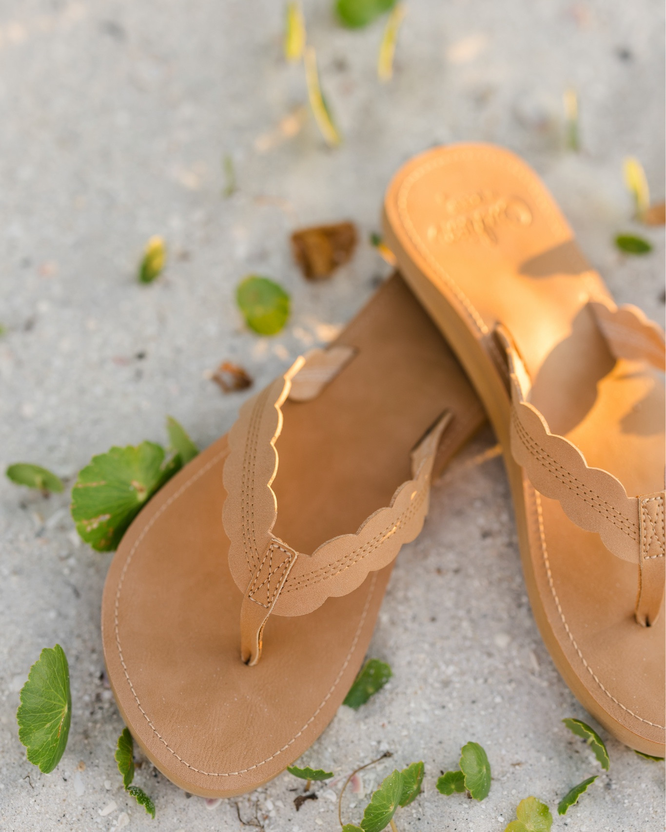 My REEF COLLECTION is now LIVe!  With a cushioned sole and feminine scalloped detail, these flip-flops deliver all-day comfort without sacrificing style.

#LTKmomlife #LTKActive #LTKTravel