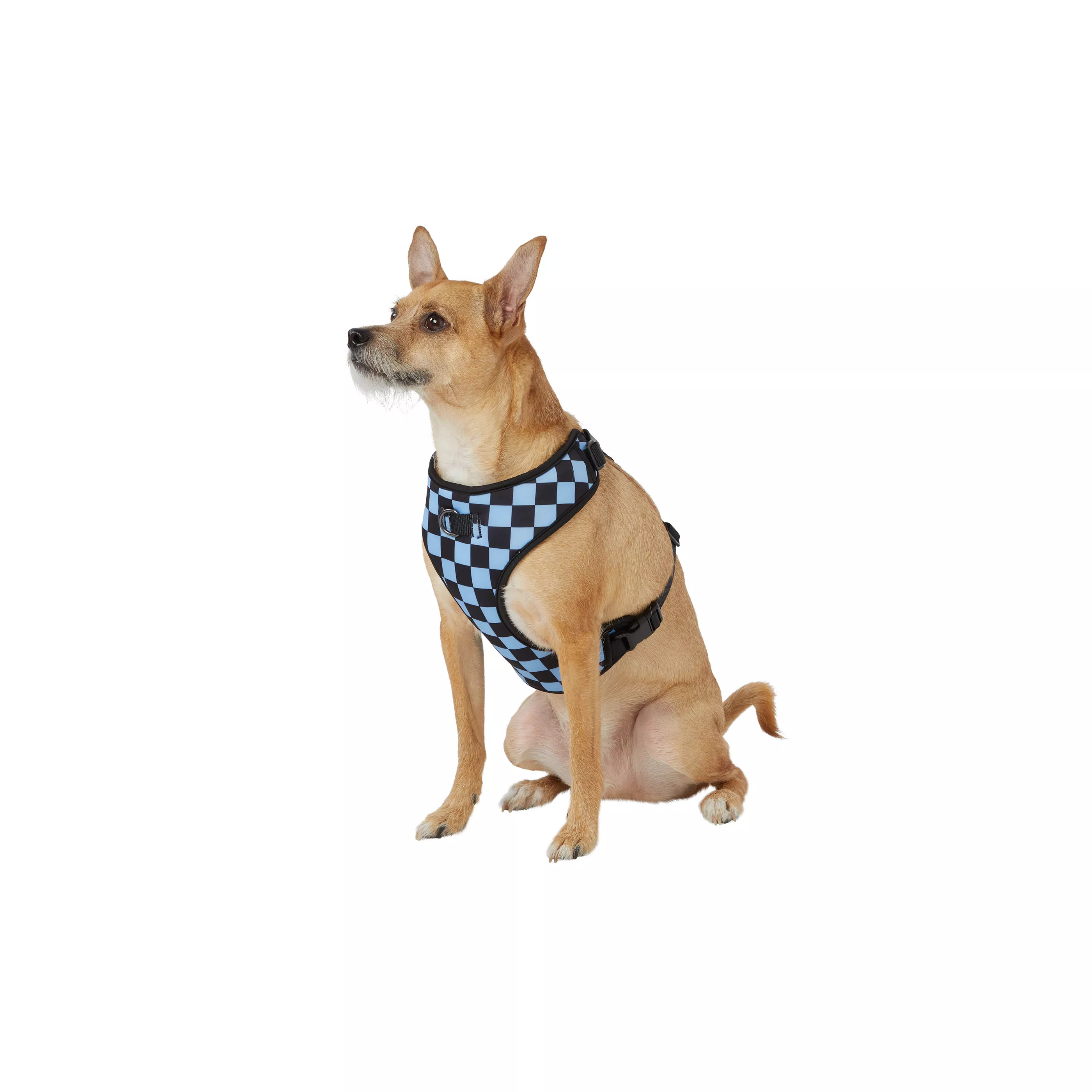 Top Paw® Checkered Comfort Dog Harness | PetSmart
