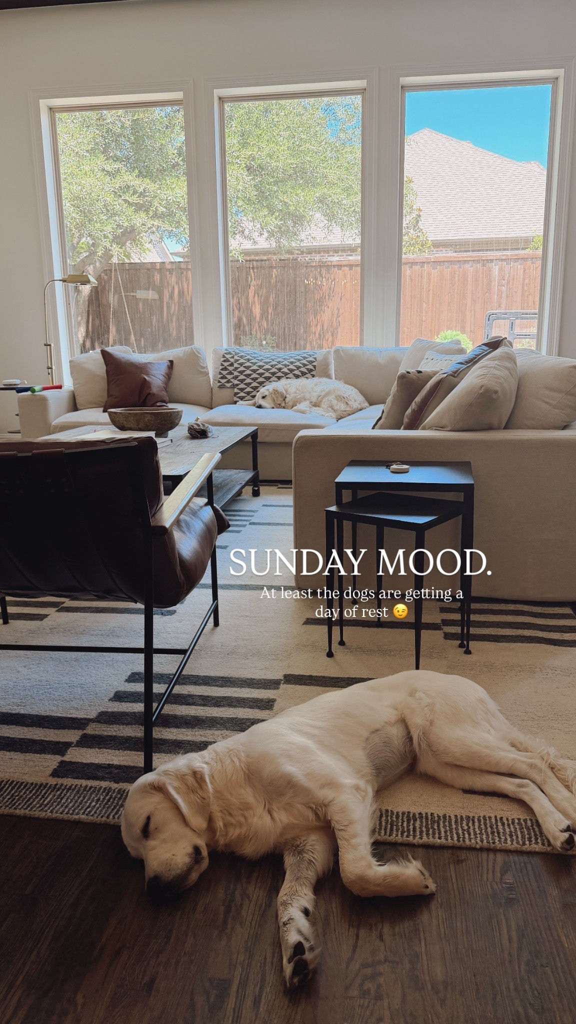 SUNDAY MOOD.  At least the dogs are getting a day of rest 😉 linking our neutral modern family room decor .

#LTKHome #LTKdayinmylife