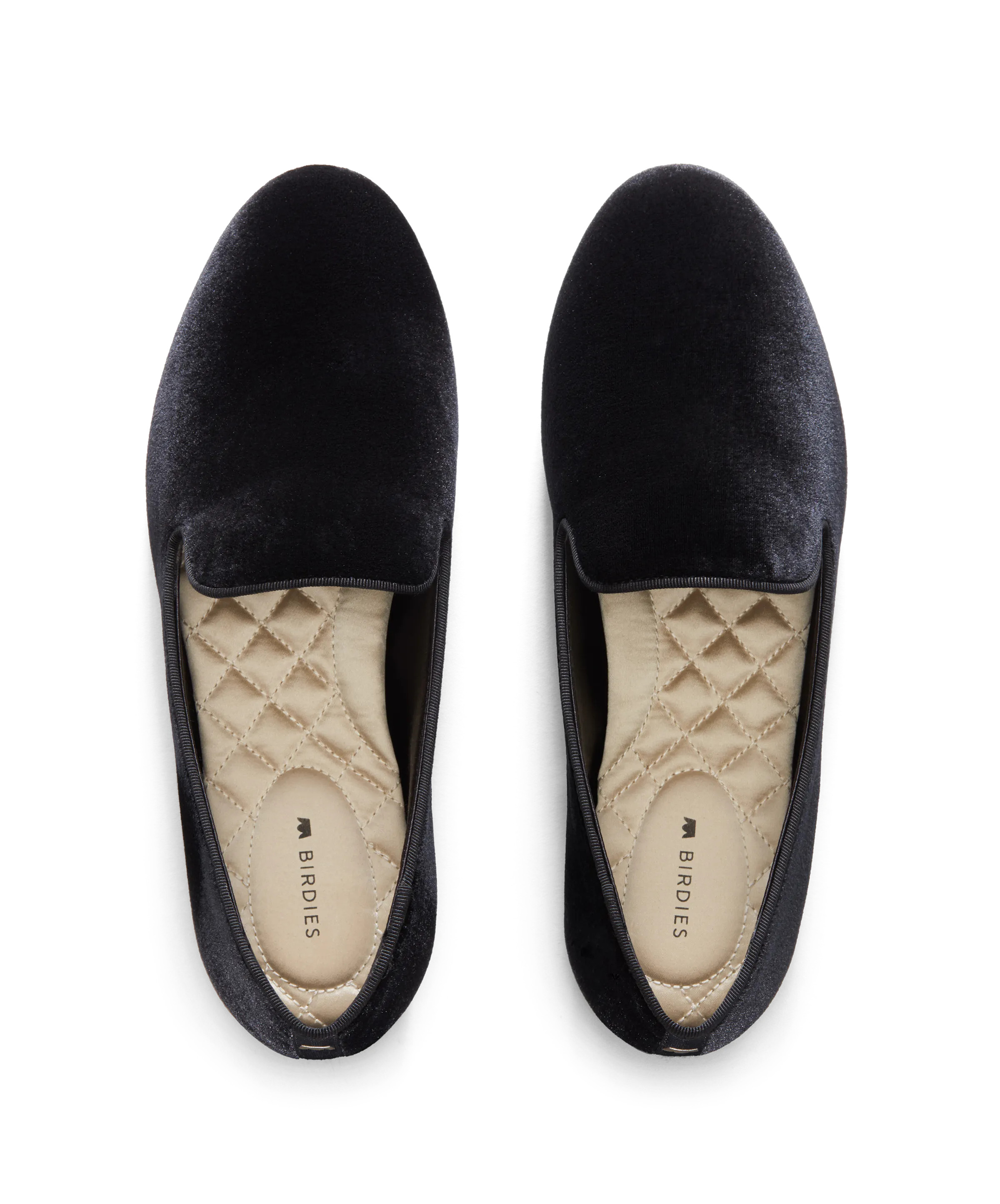 The Starling - Black | BIRDIES