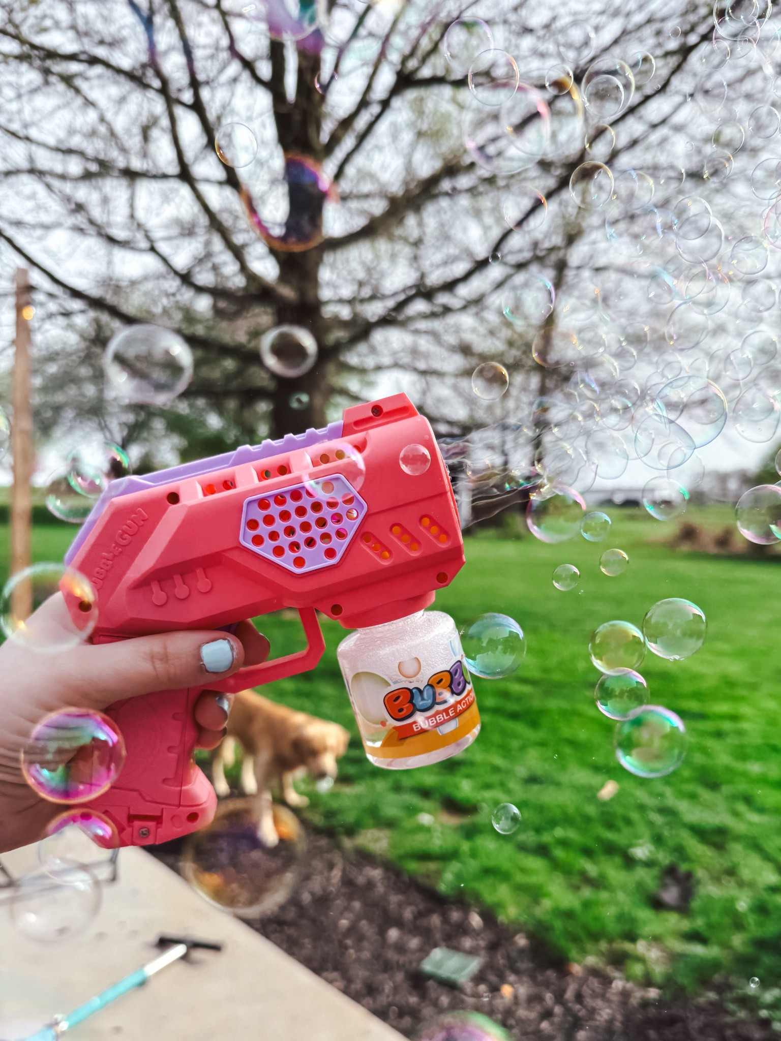 Do your kids love bubbles like mine do? This automatic bubble gun spits out so many fun sized bubbles for the kiddos to enjoy! 🫧
Another plus.. it comes in a 2 pack and extra bubble solution!

#LTKGiftGuide #LTKKids #LTKFindsUnder50
