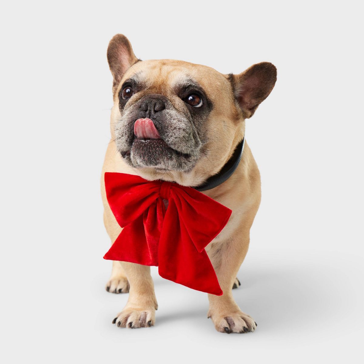 Gingerbread Playhouse Large Red Dog Bow Collar Slide - M/L - Wondershop™ | Target