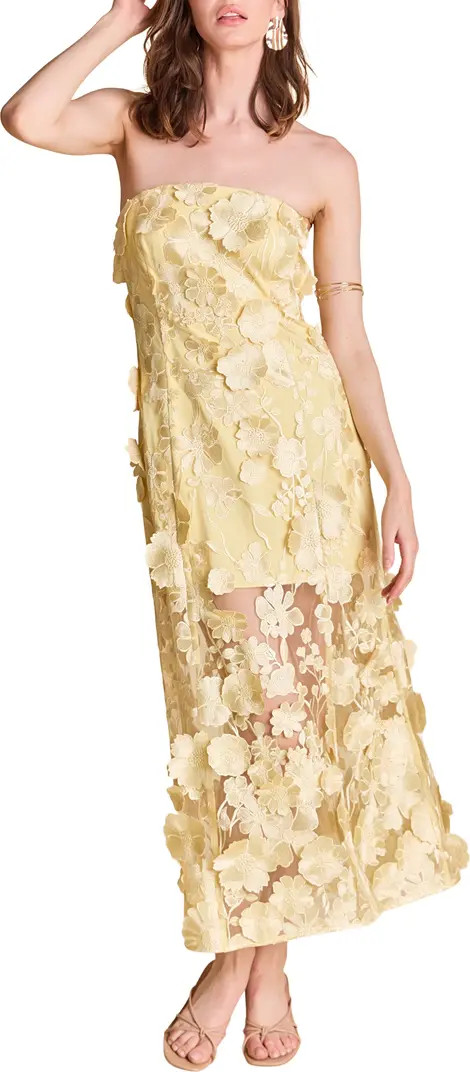 Floral Embroidery Strapless Dress | Nordstrom