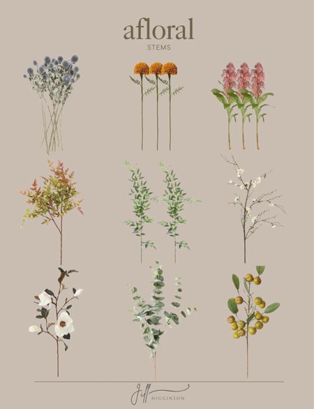Stems from afloral. 



Stems, floral stems, faux flowers, afloral

#LTKfindsunder100 #LTKhome