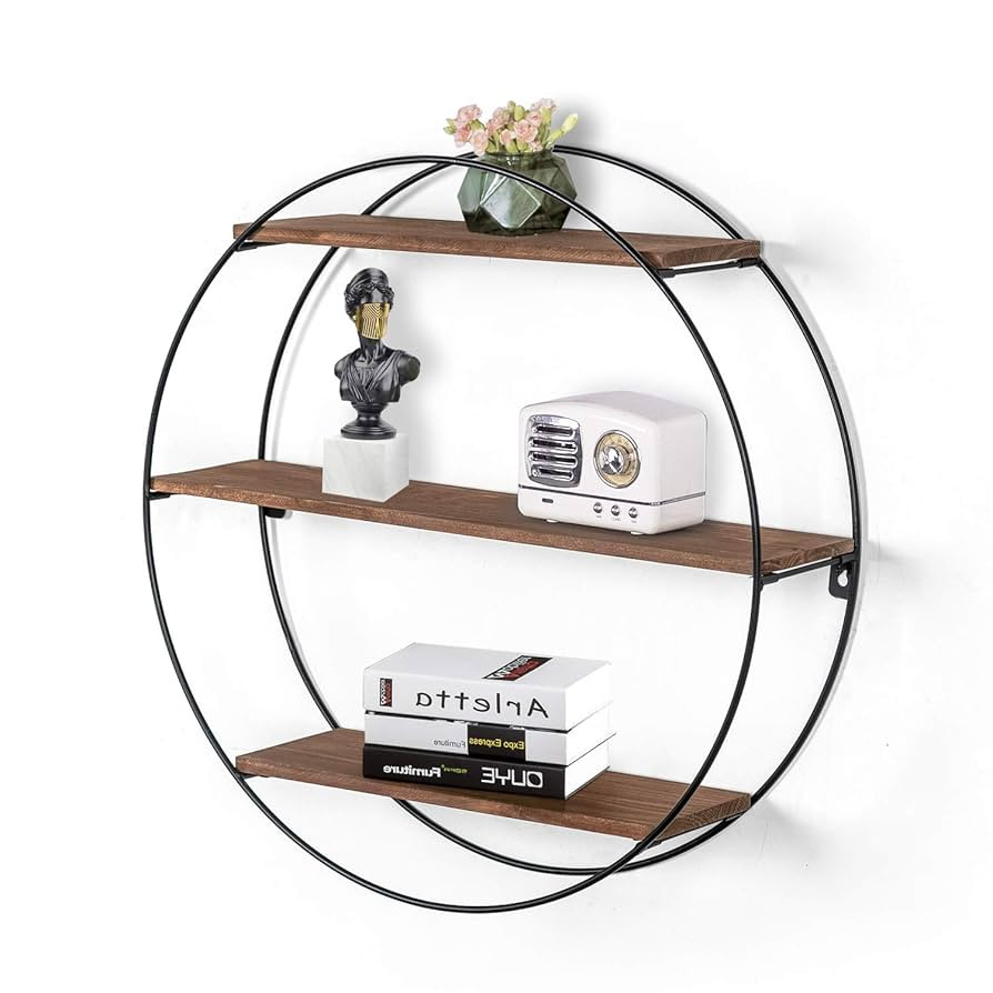 Joveco Round Wall Shelf Dark Brown, 3 Tier Metal & Wood Circle Shelf Set, Round Decorative Wall S... | Amazon (US)