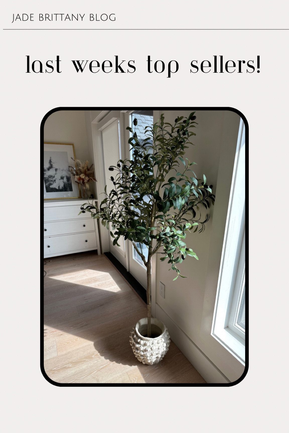Olive tree still on sale! 

#LTKfindsunder100 #LTKhome #LTKSale