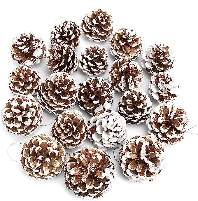 JEKOSEN 20PCS Pine Cones with String for Home Decor Natural White Pine Cone for Crafts Christmas ... | Amazon (US)