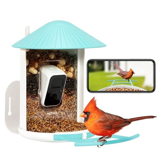 Birdfy Smart Bird Feeder with Camera for Bird Feeding and Watching - 1.5 lb Capacity, Blue - Walm... | Walmart (US)