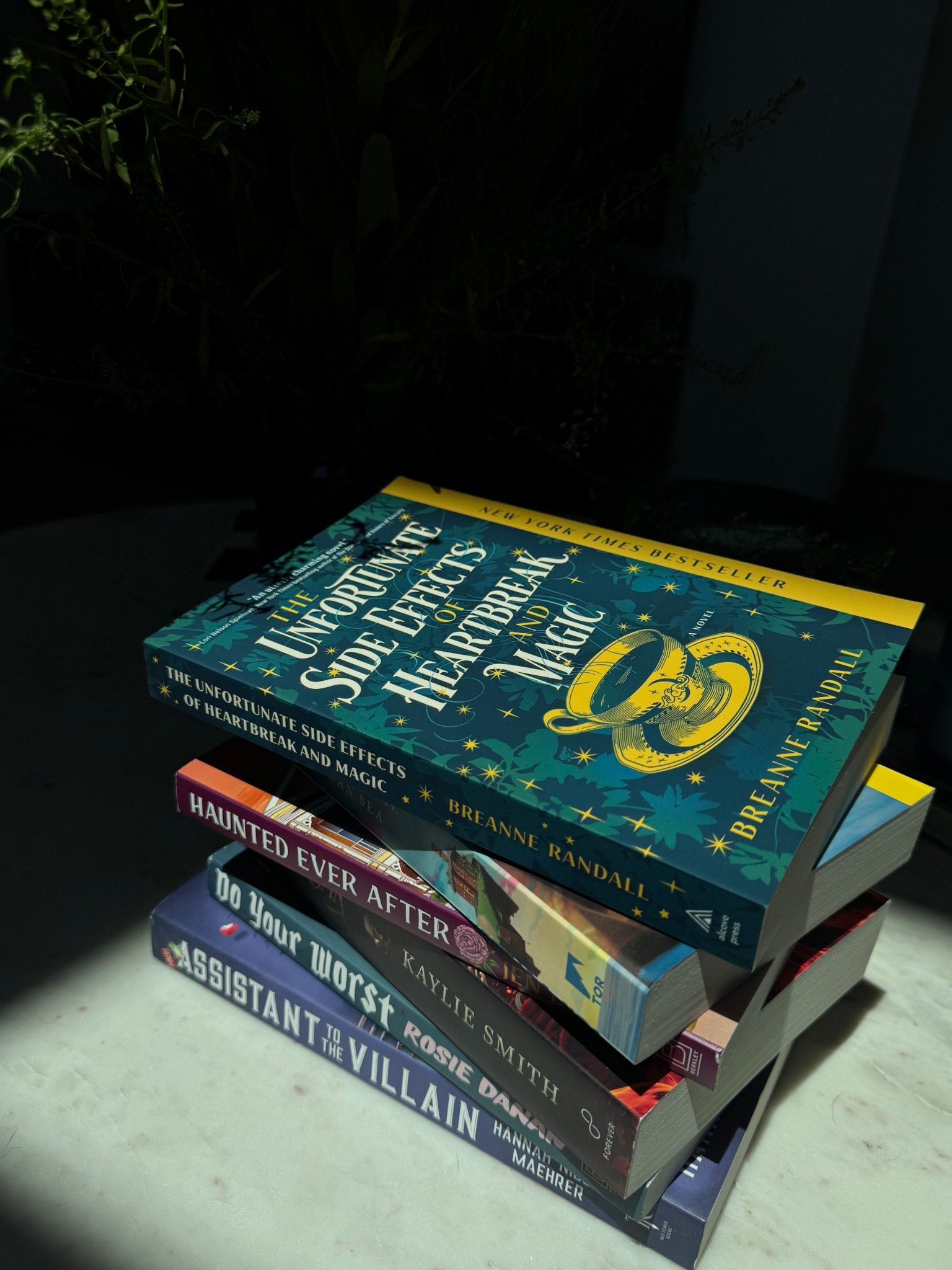 Summerween books for romance readers 📕🌶️⛺️🪓

#LTKGiftGuide #LTKSeasonal