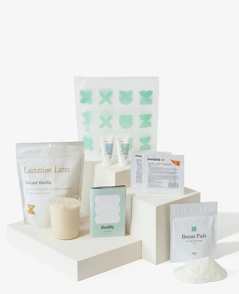 Day 1 Breastfeeding Essentials | Bodily