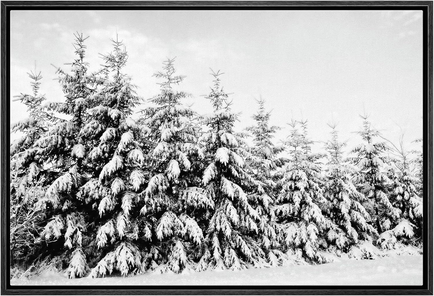 wall26 Framed Canvas Print Wall Art Snow Covered Trees in The Winter Forest Floral Nature Photogr... | Amazon (US)