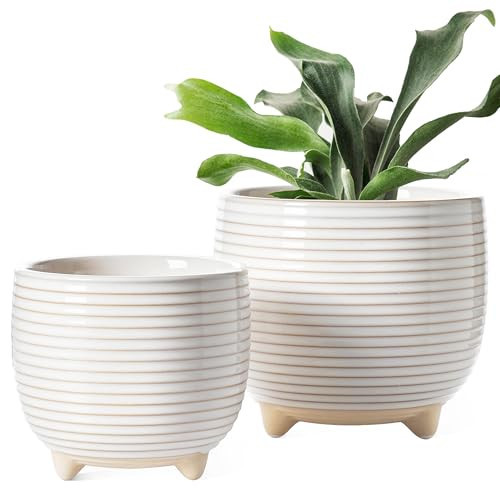 LE TAUCI Ceramic Plant Pots, 5.1 + 6.4 Inch Footed Pots for Plants, Modern Flower Pots for Home and Office, Indoor Planters with Drainage, Reactive Glaze White | Amazon (US)