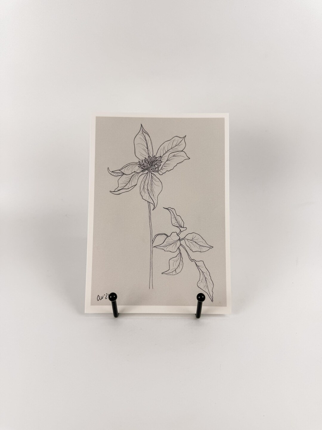 Clematis Flower Art Print, 5x7 Print Of Floral Drawing, Black And White Garden Inspired Wall Art ... | Etsy (Global)