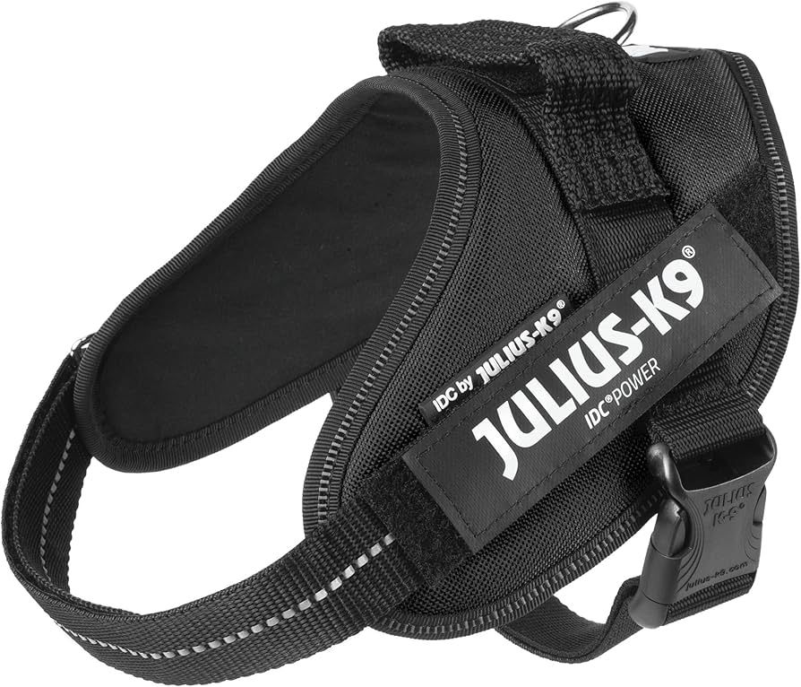 JULIUS-K9, 16IDC-P-M, IDC Powerharness, dog harness, Size: Mini, Black | Amazon (US)