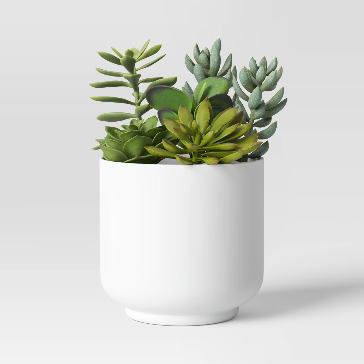 Succulent Arrangement in White Pot - Room Essentials™ | Target