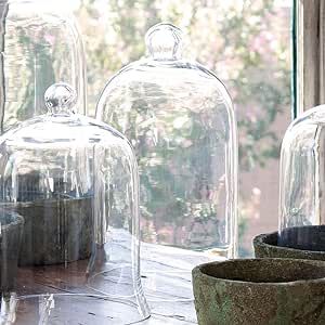 Park Hill Collection Glass Cloche Bell Jar - Plant Terrarium - Centerpiece Dome Display (15" x 9"... | Amazon (US)
