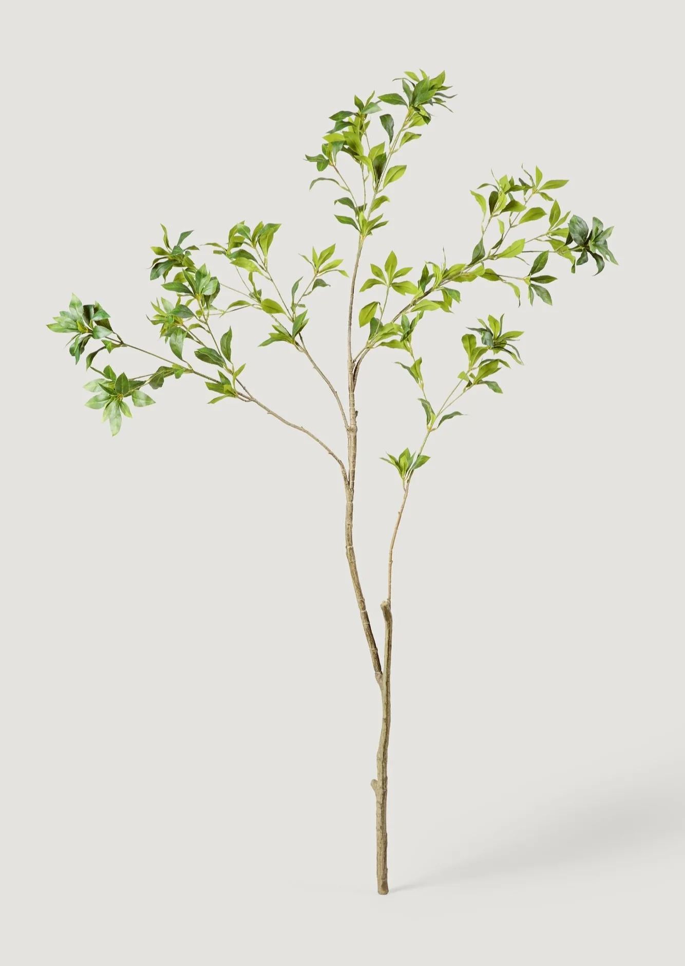 Real Touch Artificial Japonica Leaf Branch - 59" | Afloral