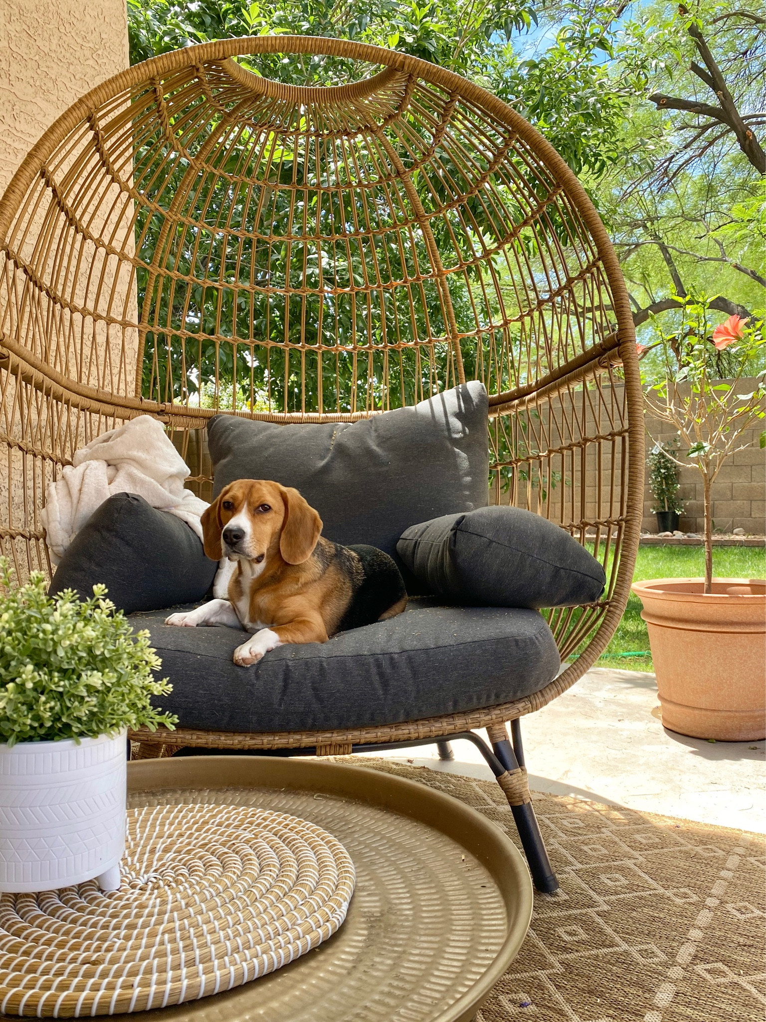 Egg chair. Patio decor. Patio furniture. 

#LTKhome #LTKSeasonal #LTKSale