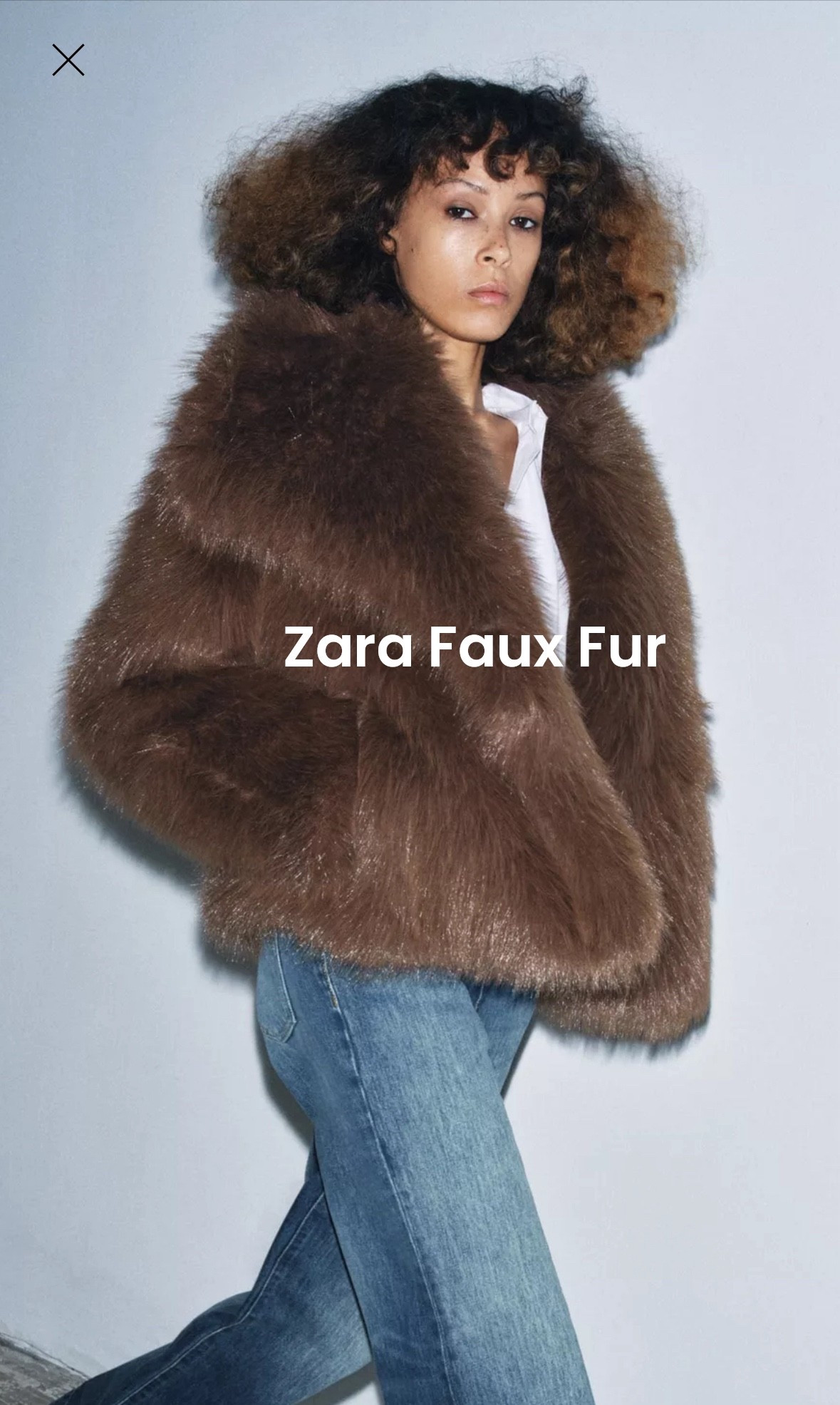 Zara Faux Fur Jackets to elevate your fall looks 

#LTKWorkwear #LTKOver40