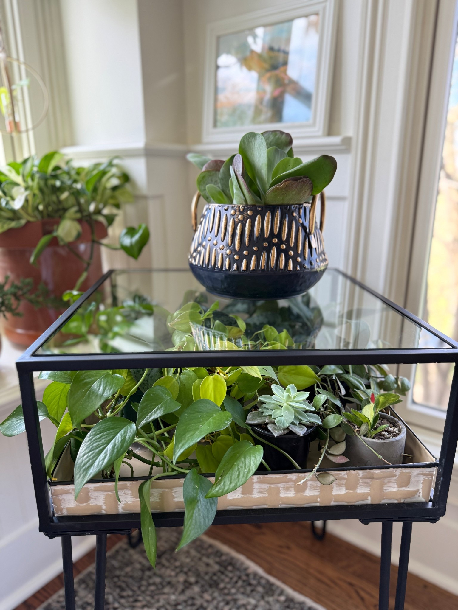 Gorgeous plant table!

#LTKHome #LTKWatchNow