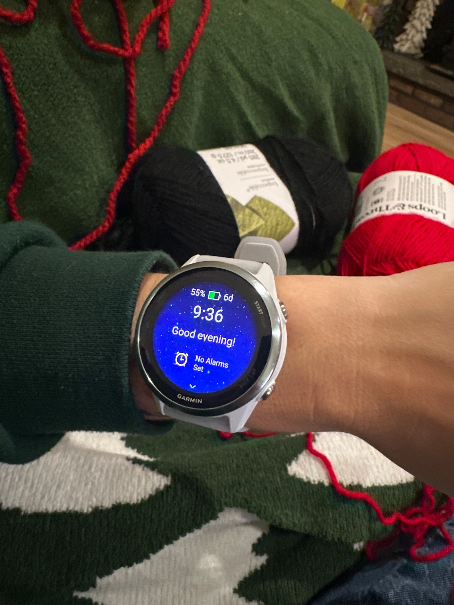 Garmin watch 