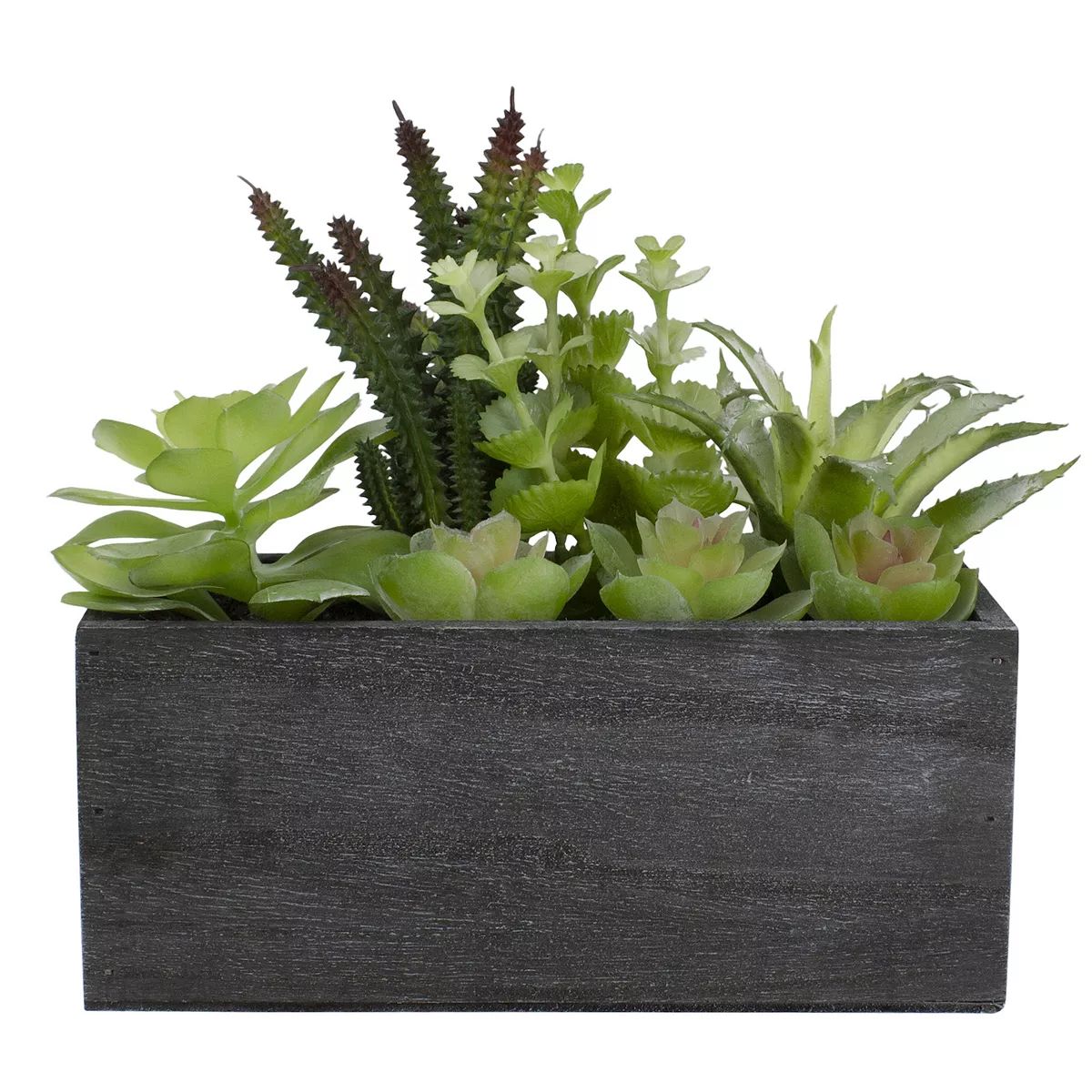 10" Artificial Mixed Succulent Plants in a Rectangular Planter | Kohl's
