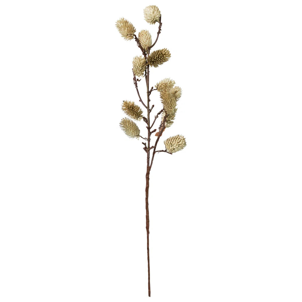 Pine Arrangement | Wayfair North America