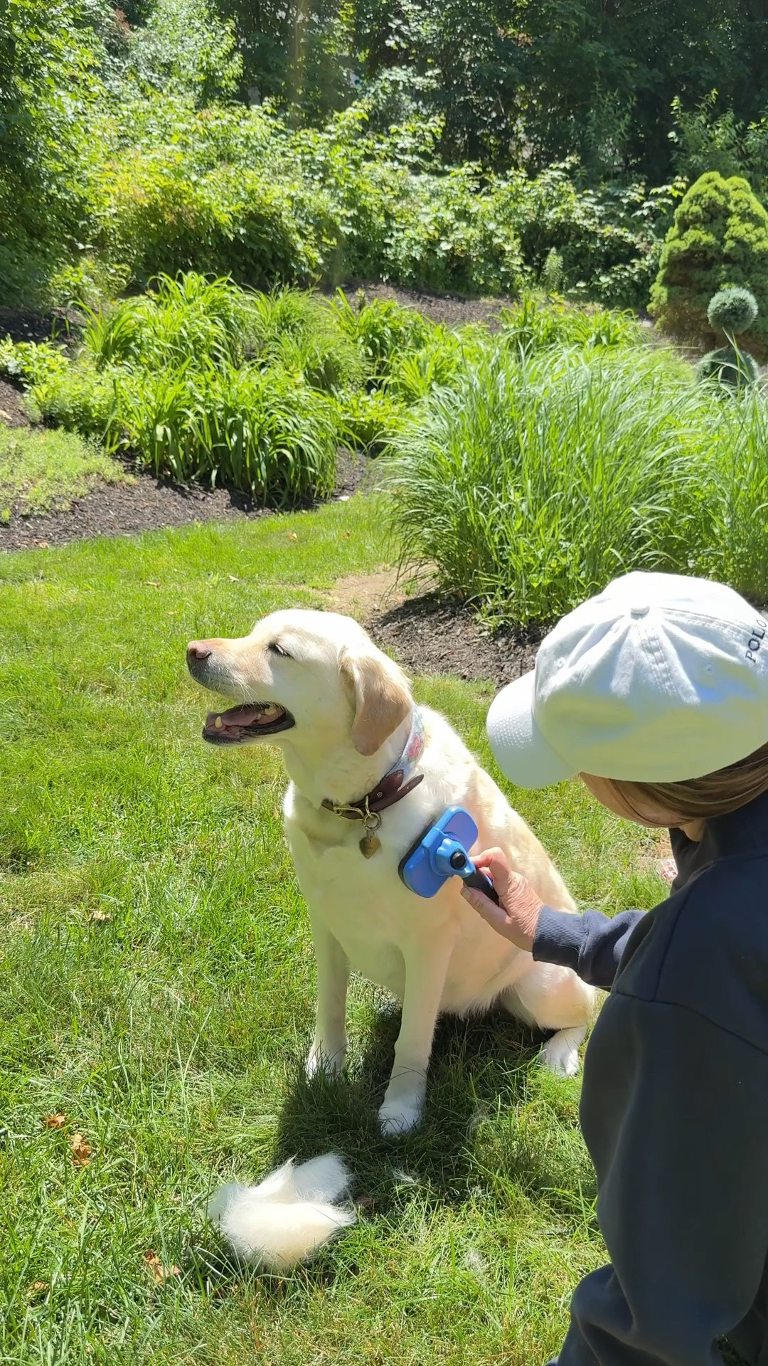 Such a great tool for shedding dogs

#LTKHome